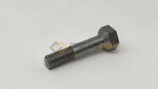 Screw