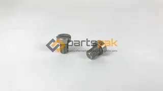 Pin